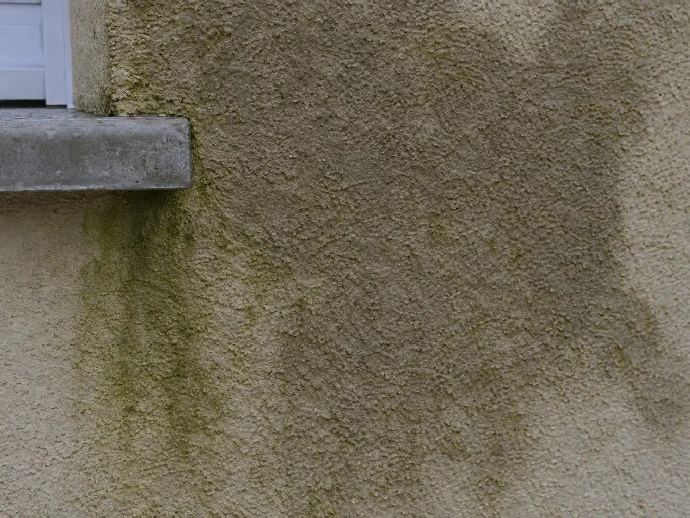 Crépi beige imbibé d’eau en larges auréoles sombres, taches vertes d’algues sous l’angle d’un appui de fenêtre en béton