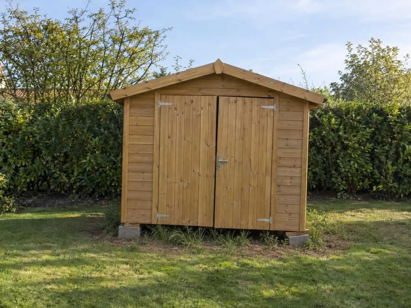 Abri de jardin en bois posé sur des parpaings à même la terre, herbe haute dessous, haie de laurier derrière