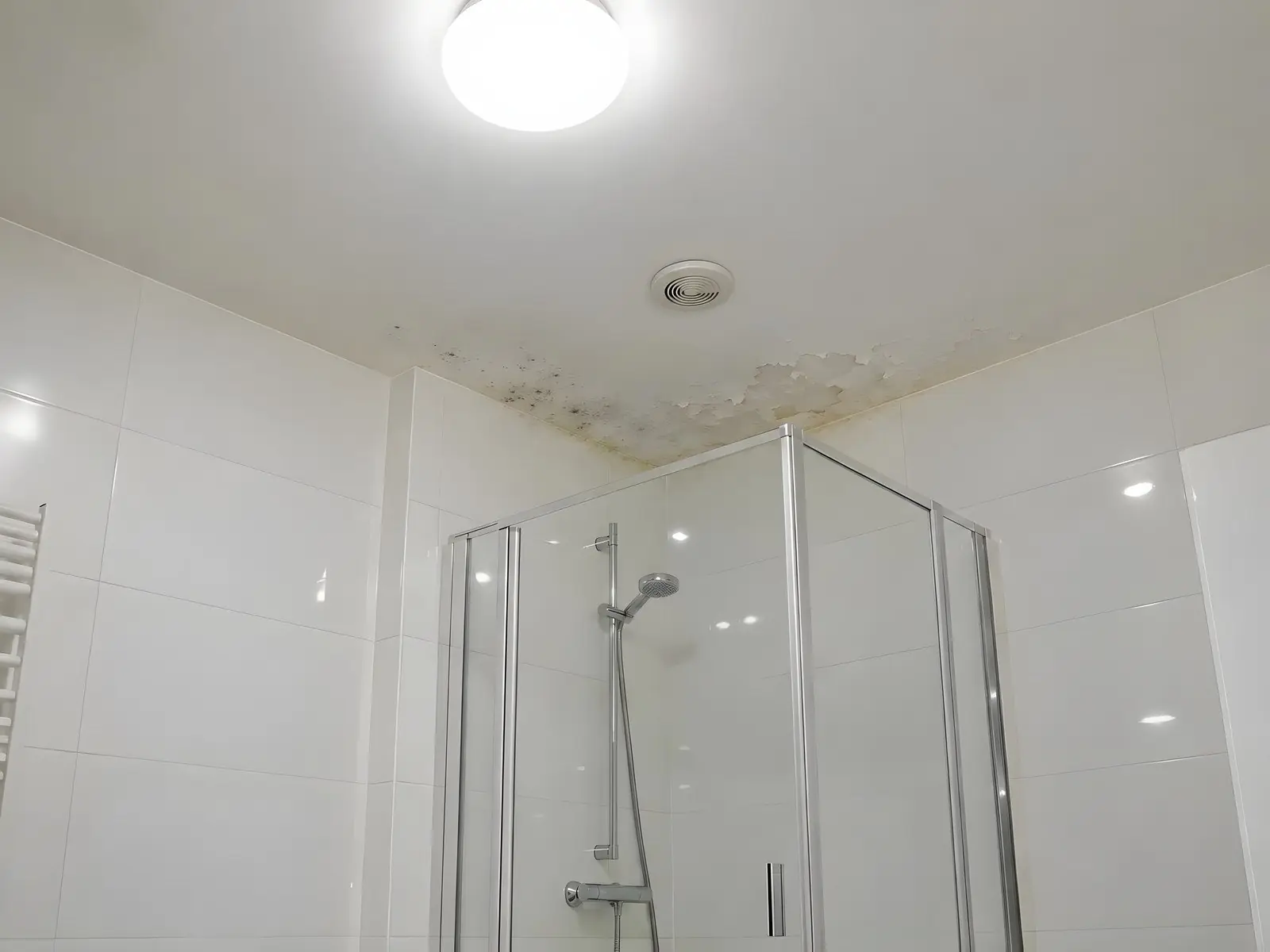 Plafond de salle de bains au-dessus d’une douche vitrée, angle piqué de moisissures noires, peinture qui s’écaille