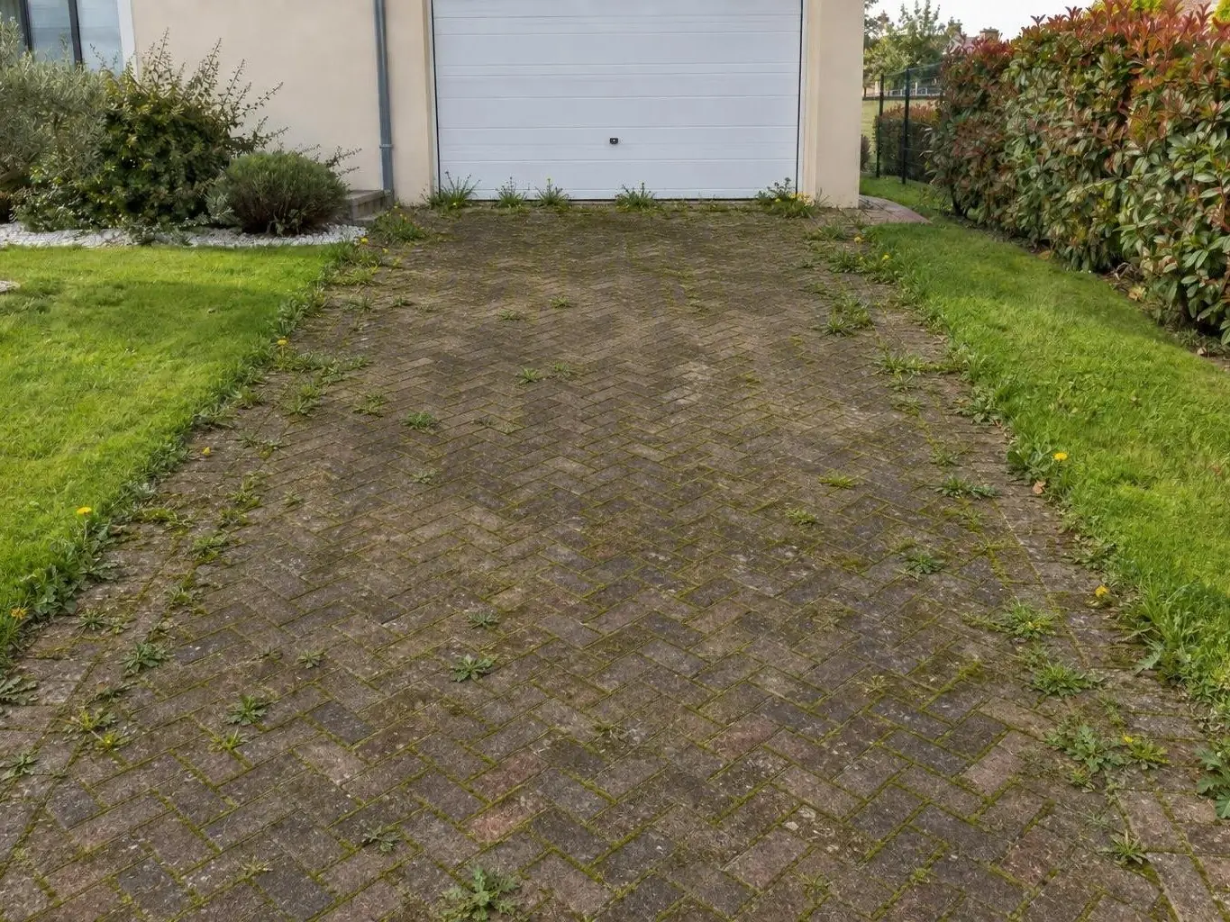 Allée de pavés en chevrons ternis et noircis devant une porte de garage blanche, mousse et herbe dans les joints